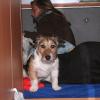 frankreich2009 005